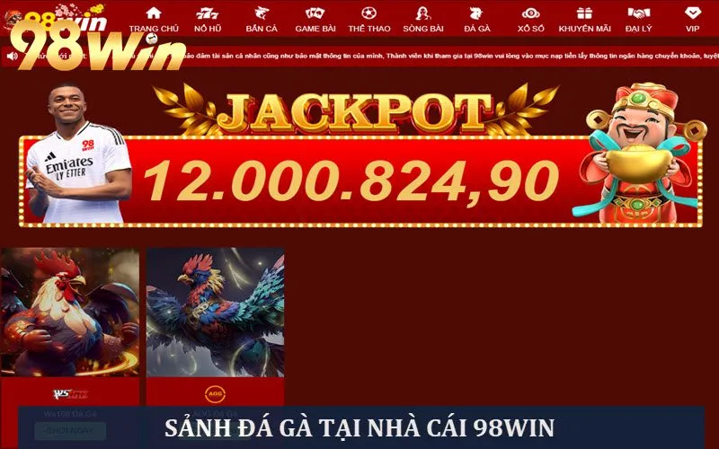 Đá gà 98WIN trực tuyến nảy lửa