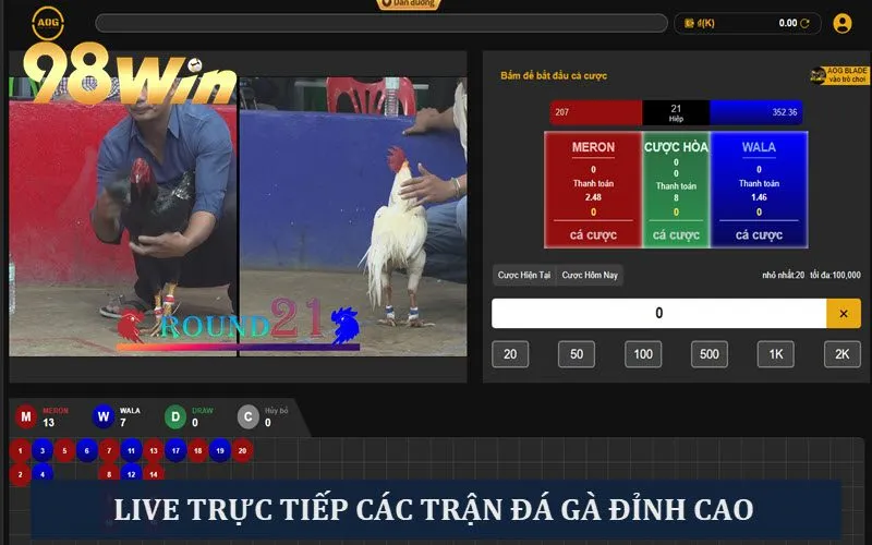 Nơi xem live các trận đá gà 98WIN đỉnh cao
